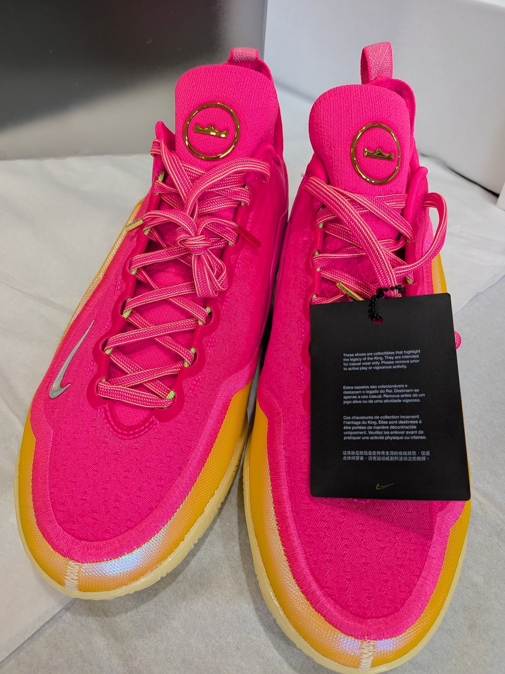 Nike Lebron XXIII Elite